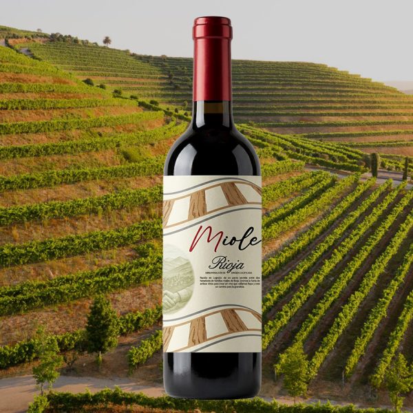 tienda visita 6 MIOLE CRIANZA